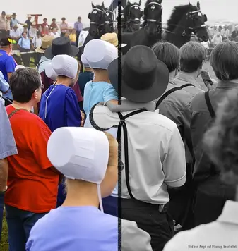 Amisch, Mennoniten und Migration. Amisch, Mennoniten und Migration.