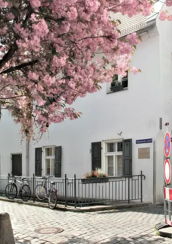 Frühling am Daucherhaus Frühling am Daucherhaus