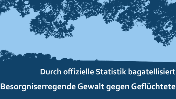 Gewalt gegen Geflüchtete, Statistik bagatellisiert.