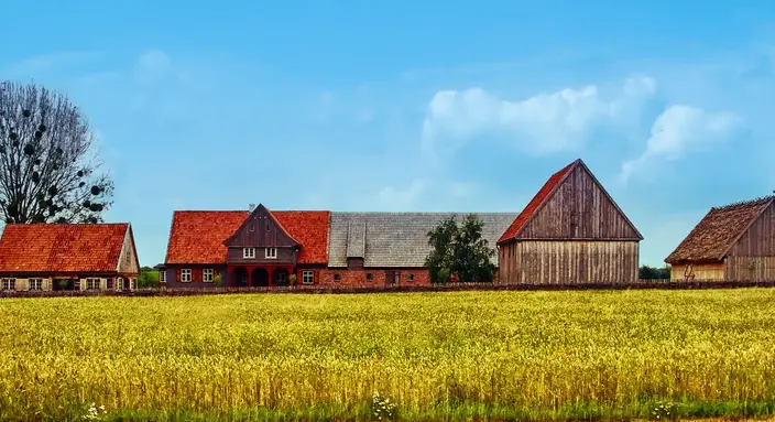 Mennoniten in Polen, Bauernhaus-Freilichtmuseum in Obernessau, Gehöft niederländischer Bauart.