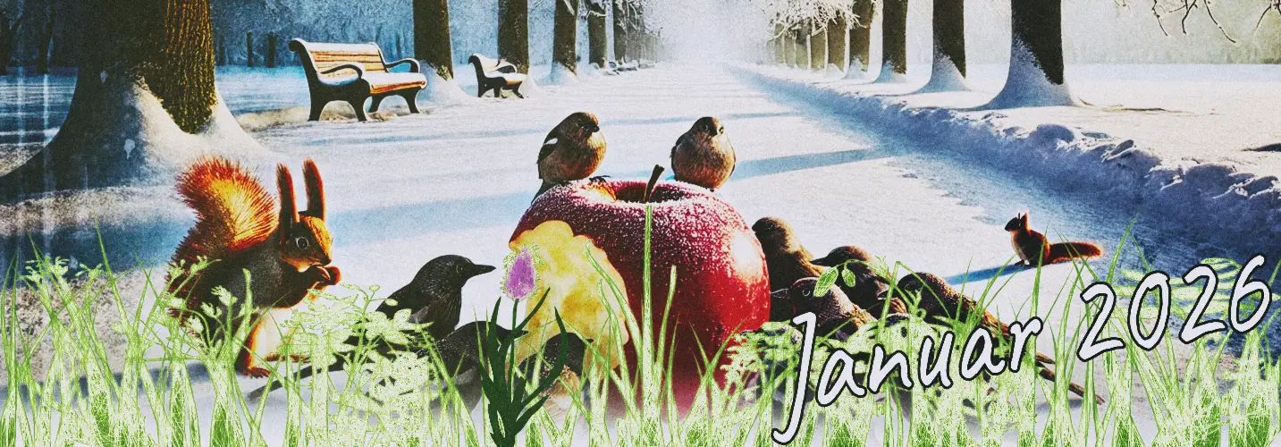 Wild Church im Januar